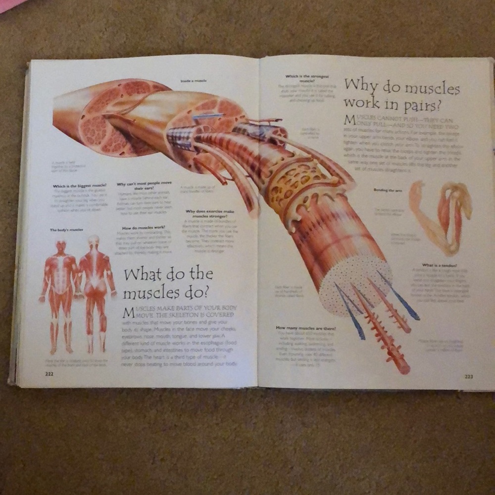 Book - Picture 6 of 7